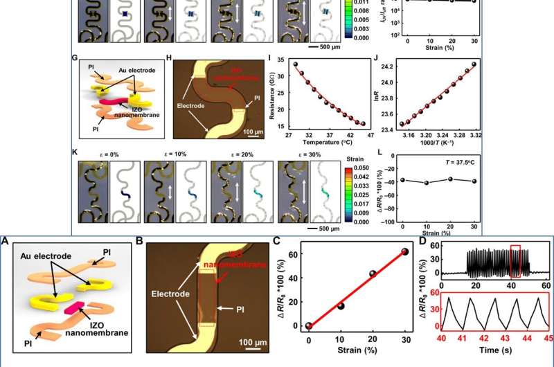 Metal-oxide semiconductor nanomembrane-based multifunctional electronics for wearable-human interfaces